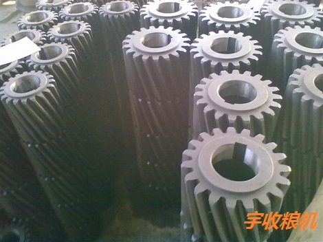 齿轮0.jpg